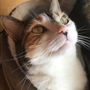 Meet your Posher, Elena